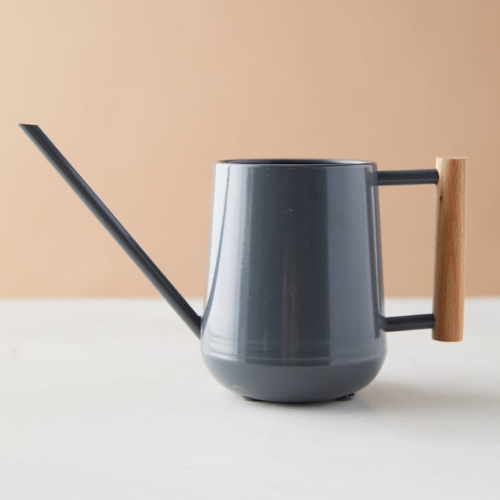 Product Image: Beech Wood Handle Watering Can