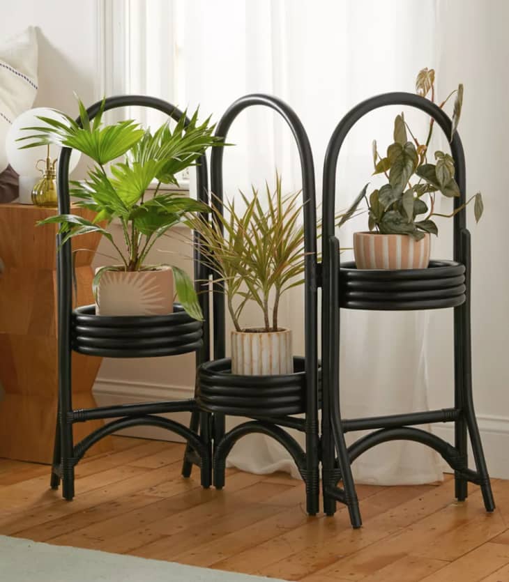 Rattan Plant Stand at Urban Outfitters