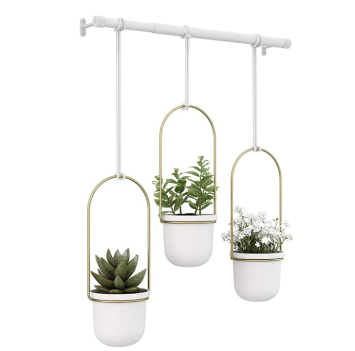 Product Image: Umbra Triflora Hanging Planters