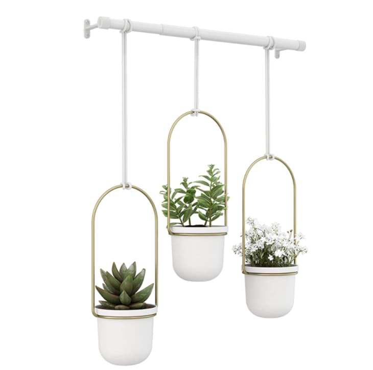 Umbra Triflora Hanging Planters at Amazon