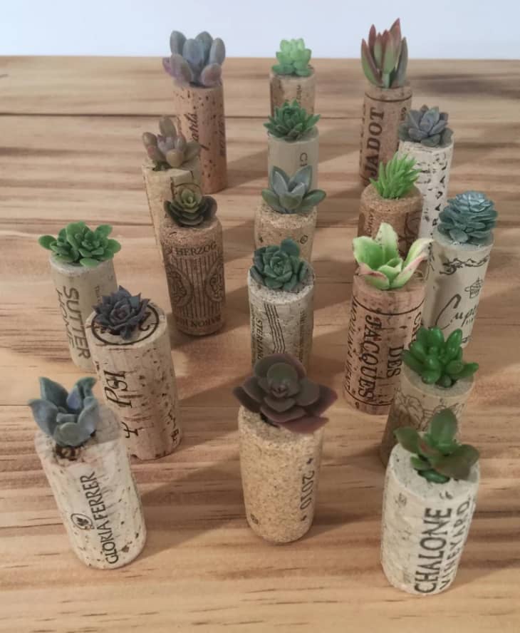 Product Image: Wine Cork Magnet with Succulents