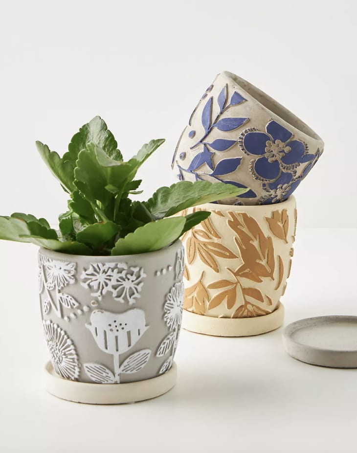 15 Best Places to Buy Planters Online Apartment Therapy