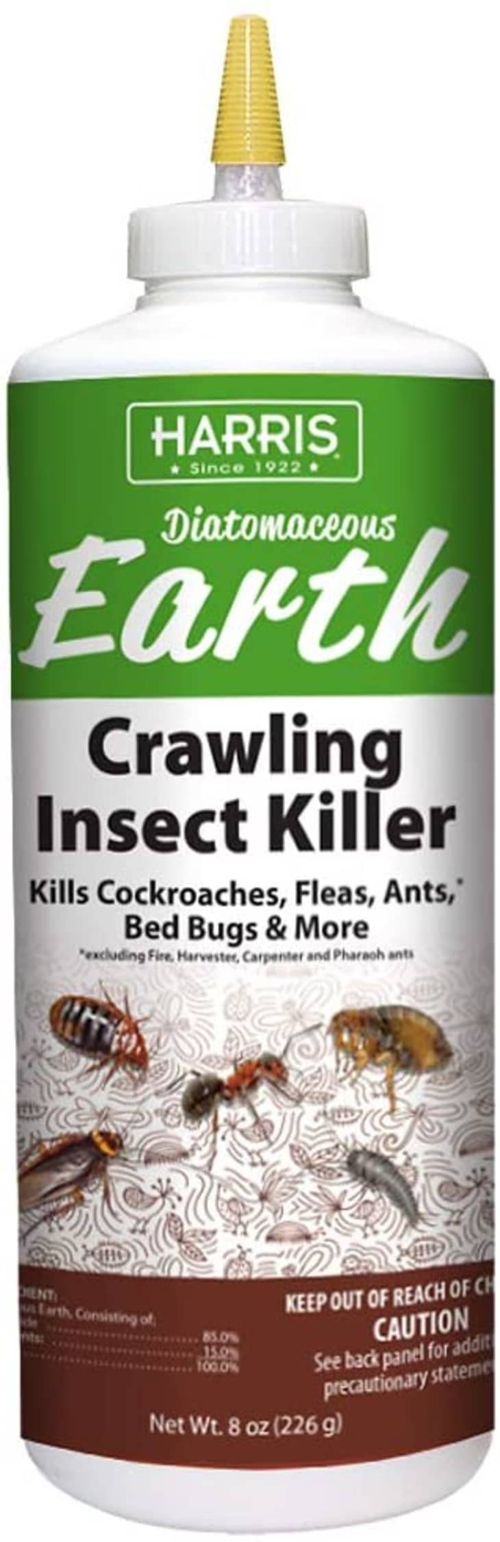 Homemade Roach Killers: What You Should Know