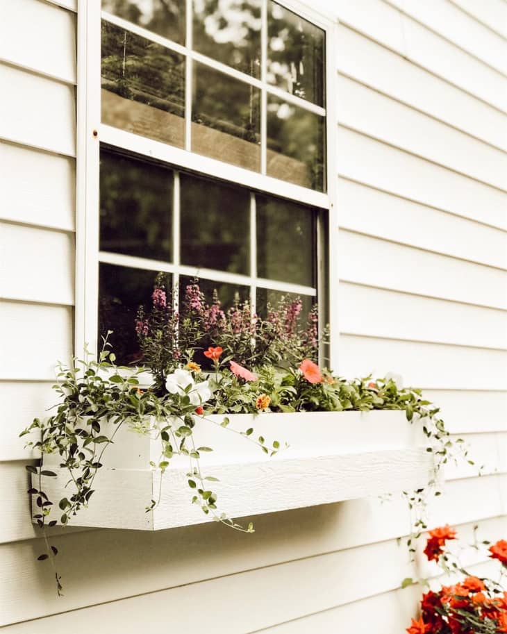 24 Window Box Flower Ideas What Flowers To Plant In Window Boxes Apartment Therapy