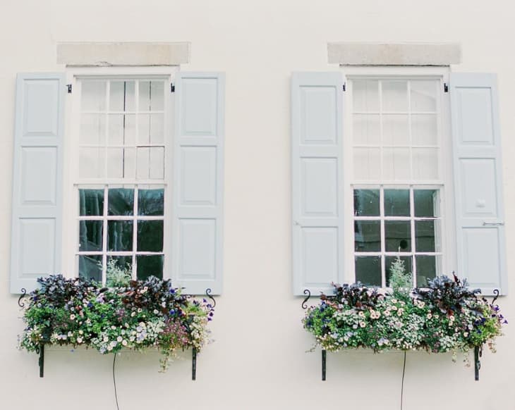 Window Box Flower Ideas What Flowers To Plant In Window Boxes Apartment Therapy