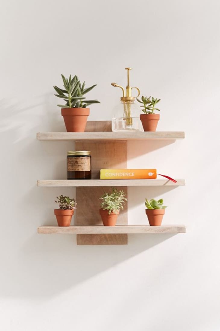6 Ways To Create A Plant Wall In A Rental Apartment Therapy