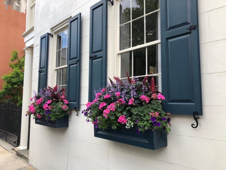 24 Window Box Flower Ideas What Flowers To Plant In Window Boxes Apartment Therapy