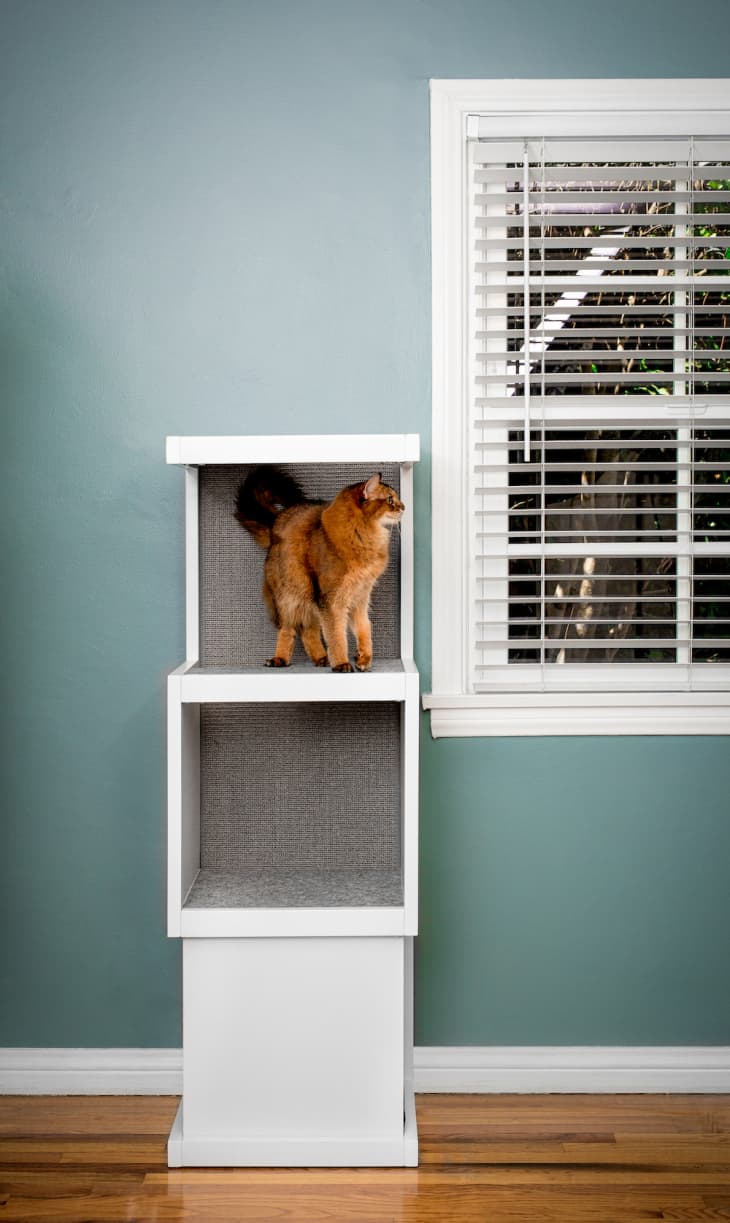 contemporary cat furniture