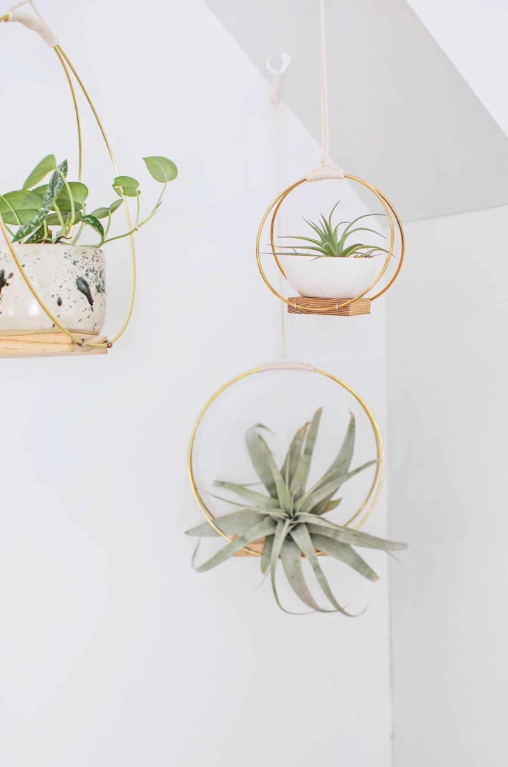 Hanging planters made from brass rings and wood