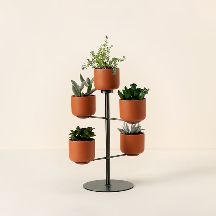 Product Image: Modern Desktop Terracotta Planters