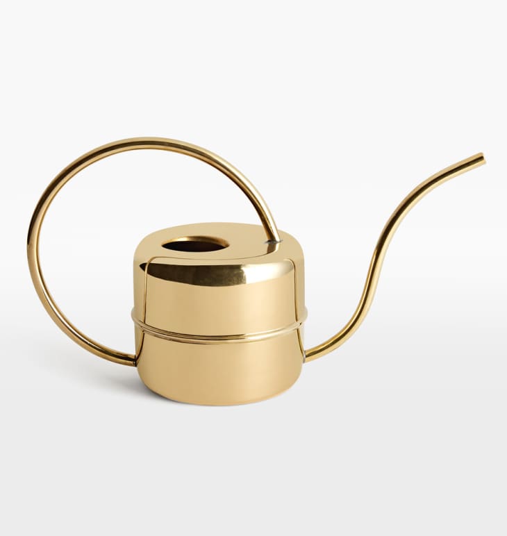 Product Image: Watering Can