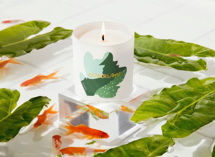 Product Image: Canopy Candle