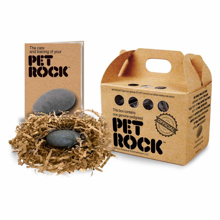Product Image: Pet Rock
