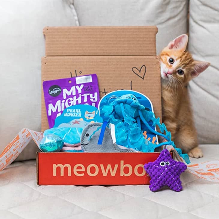 Product Image: Meowbox Subscription — 3 Months (3 boxes)