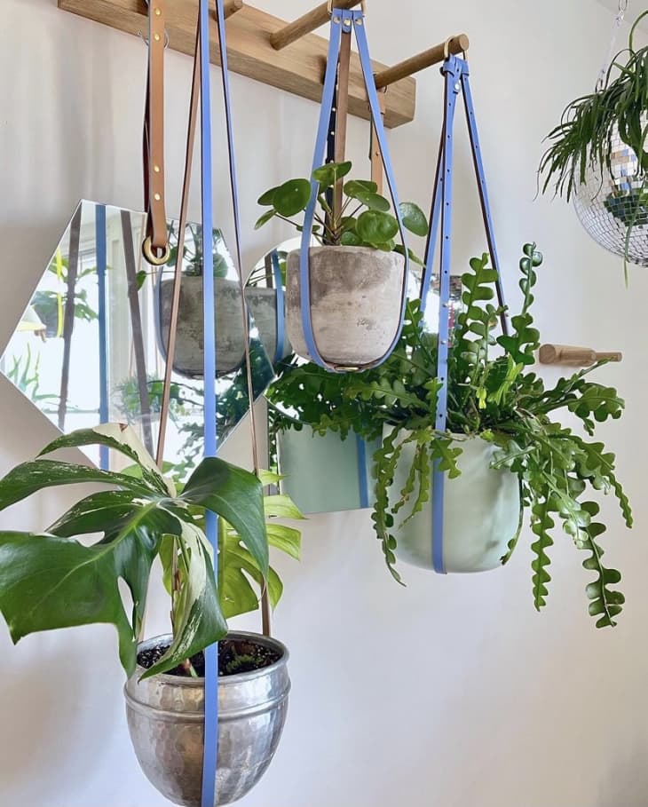 DIY Creative Ways To Hang Your Plants Apartment Therapy