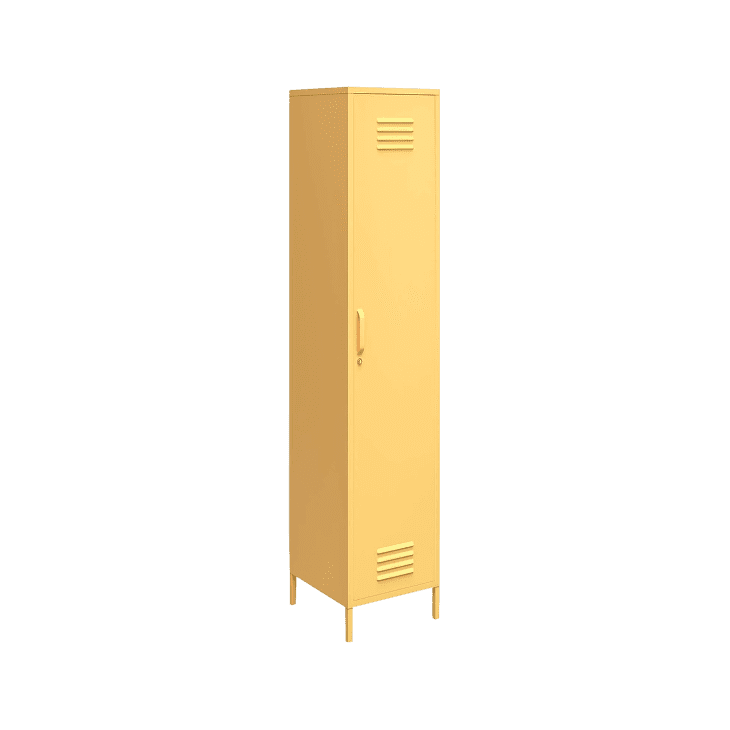 Novogratz Cache Single Metal Locker Storage Cabinet at undefined