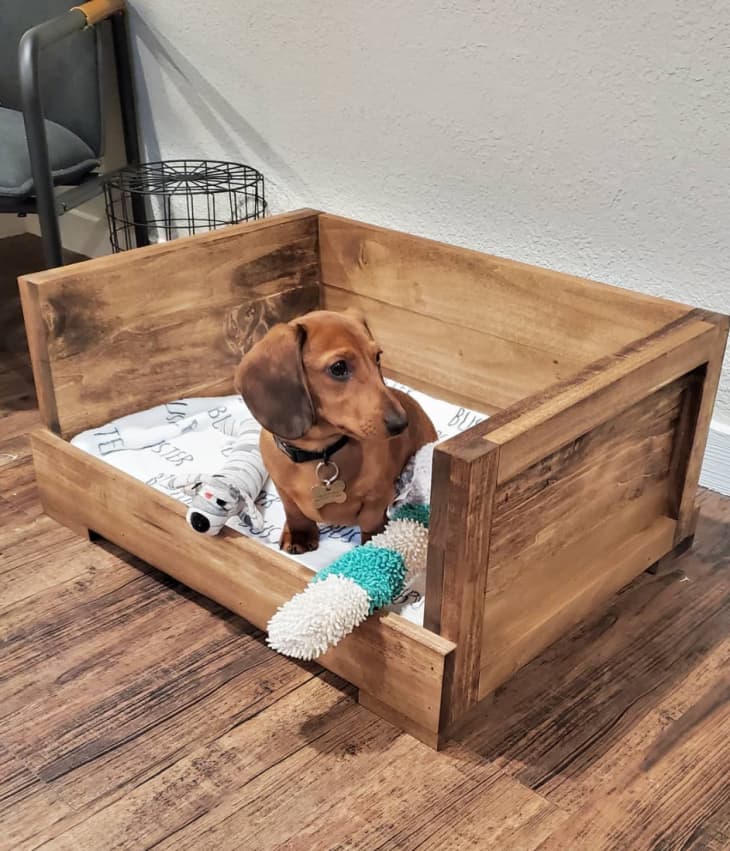 a dachshund in a DIY wooden dog bed