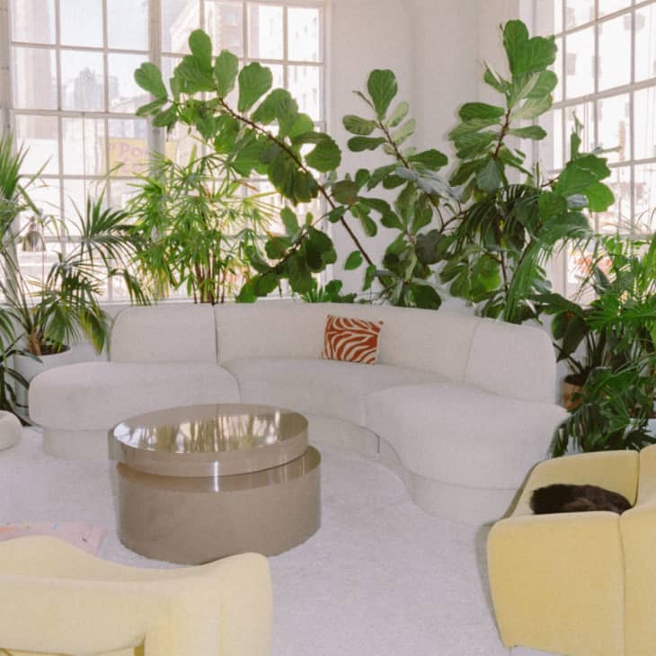 https://cdn.apartmenttherapy.info/image/upload/f_auto,q_auto:eco,w_730/at%2FSEO%20Updates%2Fmodern-living-room-ideas%2Fmodern-living-room-big-plants