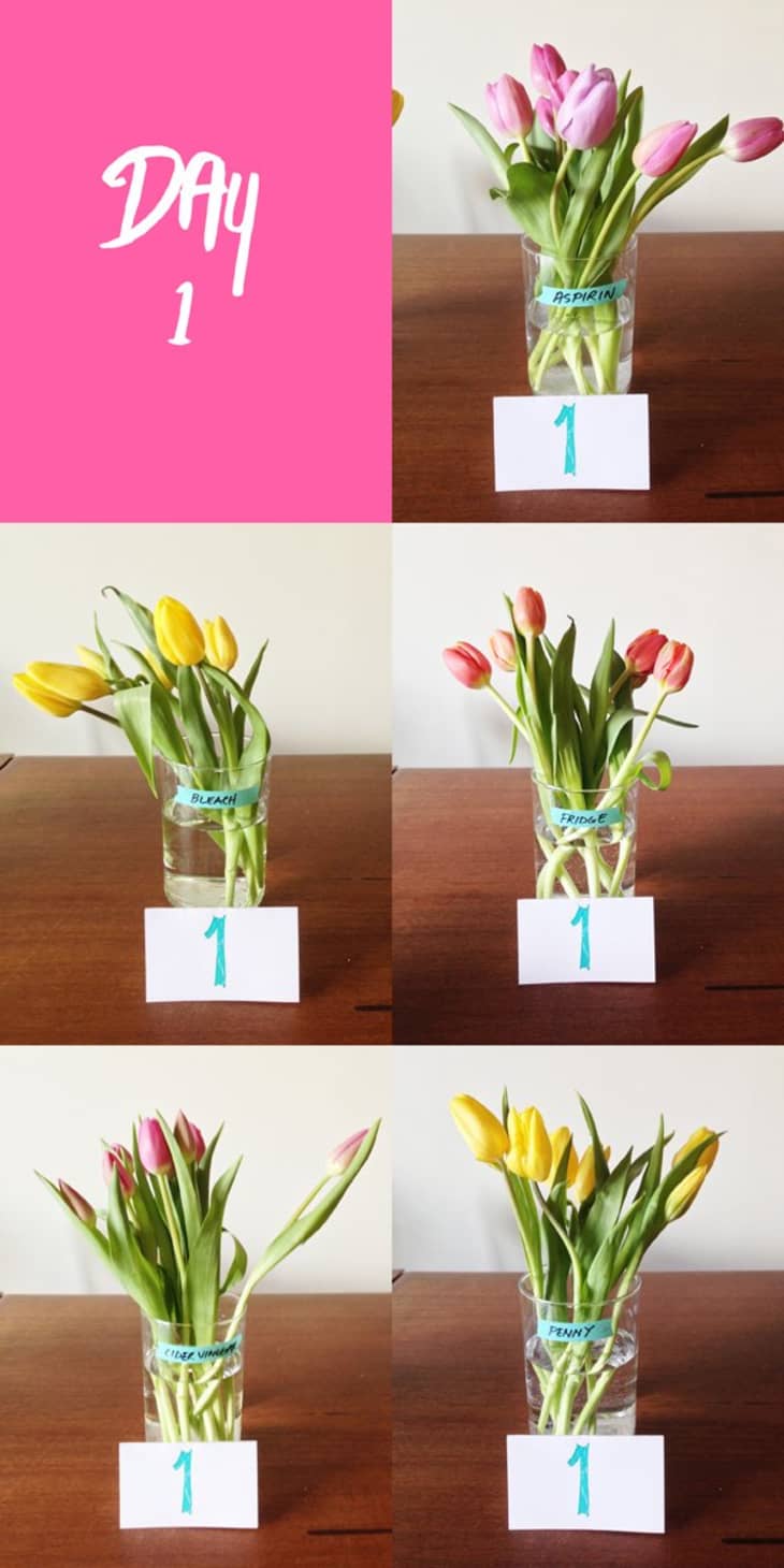 How to Make Flowers Last Longer in Vase - Keep Cut Flowers Fresh