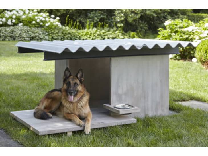 designer dog houses