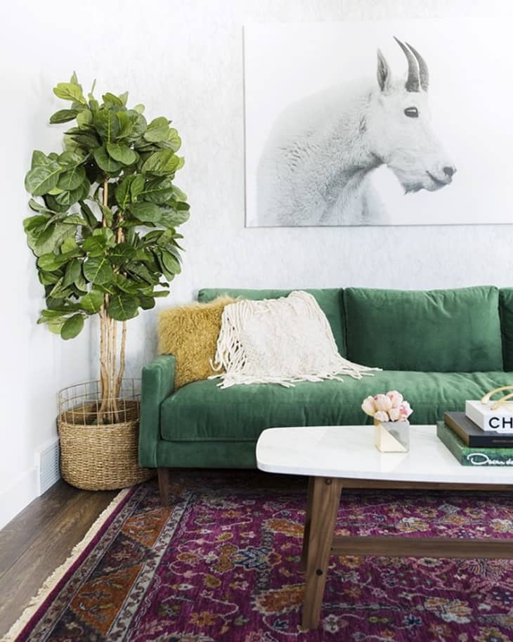 The Couch Trend for 2017 Stylish Emerald Green Sofas Apartment Therapy