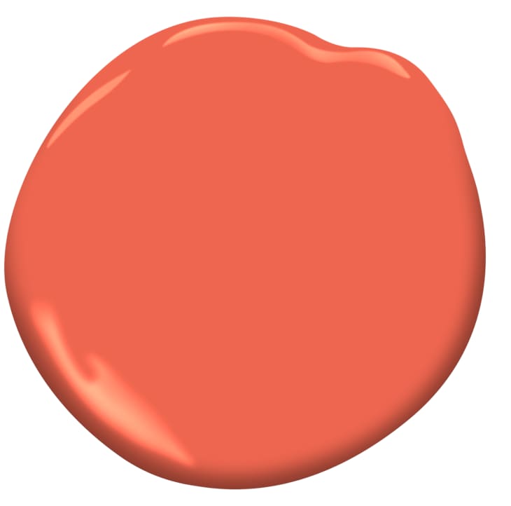 Coral Paint Color Palette