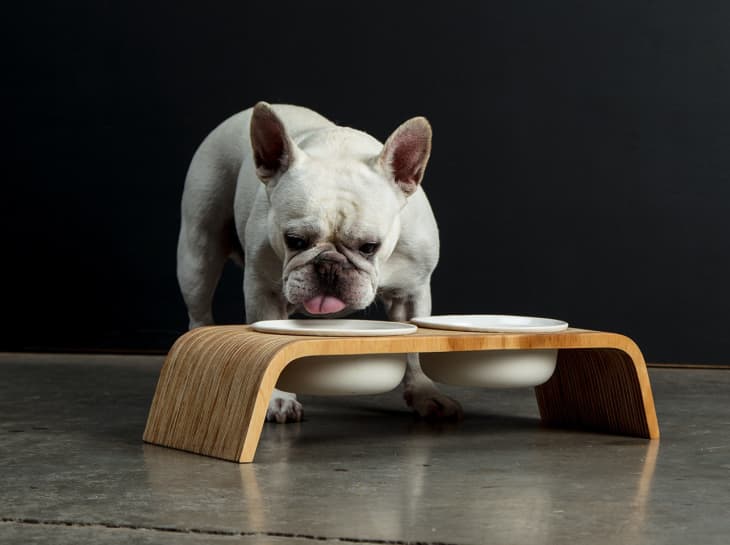 Modern Tip-Proof Dog Bowls in White – This Dog's Life