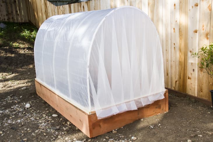 DIY Covered Greenhouse Garden: A Removable Cover Solution to Protect Your  Plants | Apartment Therapy