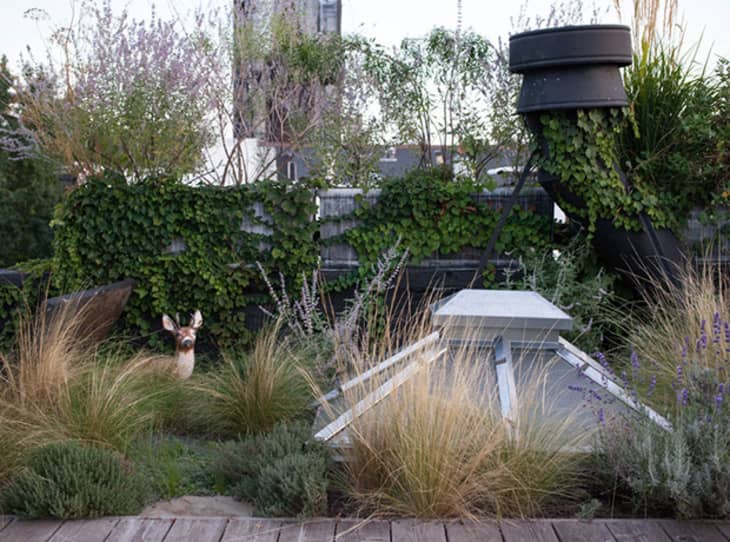 Urban Retreats: 9 Dreamy Rooftop Gardens