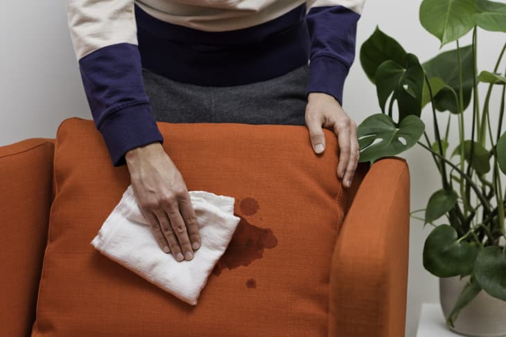 A man presses the stain on an orange upholstery fabric dry with a cloth
