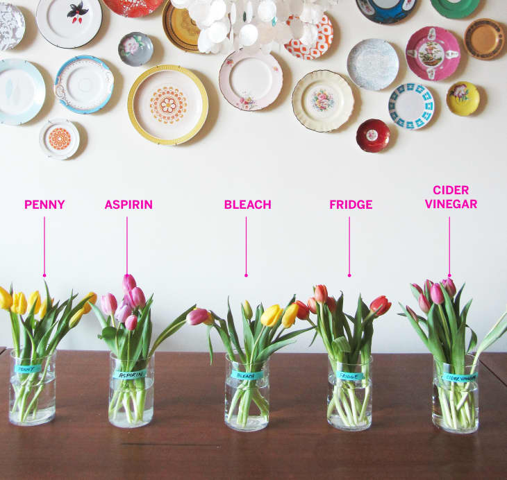 Test Lab The Best Way To Keep Flowers Fresh Apartment Therapy