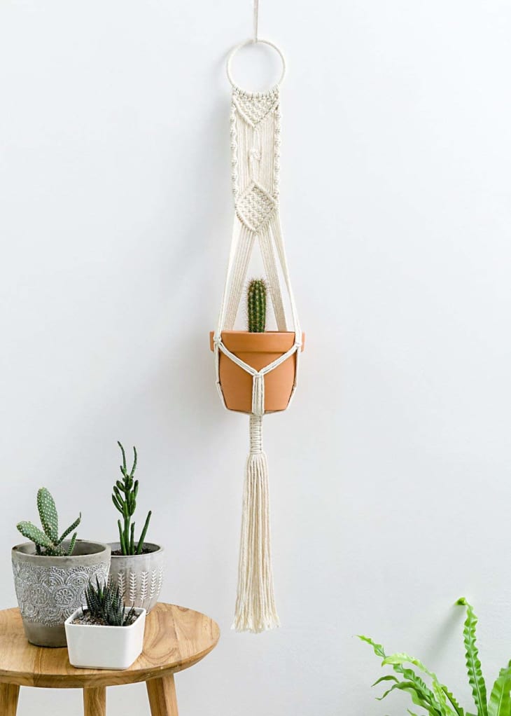 Best Macrame Plant Hangers | Apartment Therapy