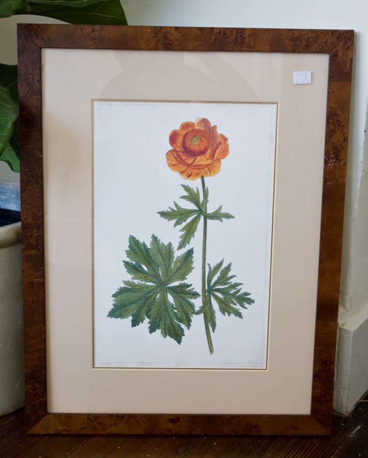 How to Frame Your Art on a Budget (Step-by-Step DIY Guide) | Apartment  Therapy