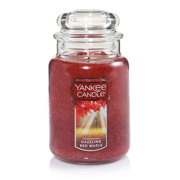 Shoppers Can't Stop Buying This 'Cozy' Yankee Candle for Fall