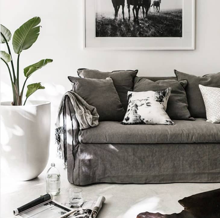 Modern Slipcovers An Underrated Secret Weapon Of Design Apartment Therapy