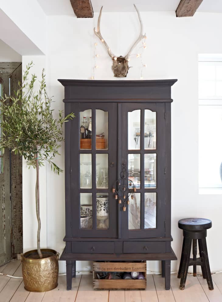 Olive tree next to a black wooden antique case