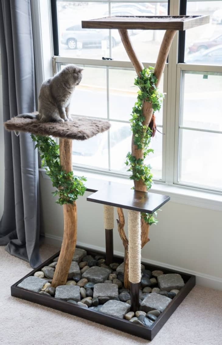 Cat Window Perch with Comfortable Bedding - Cat Perch for Window & Wall -  Easy to Install Wooden Cat Window Hammock - Window Cat Perch for Small 