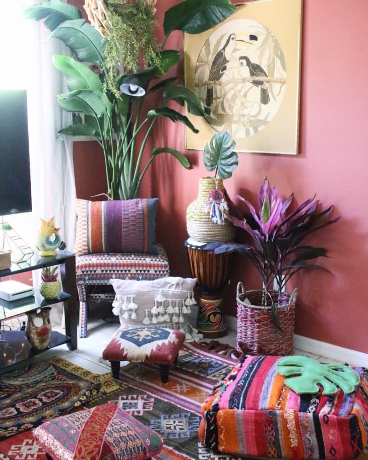 rose-colored boho living room with plants