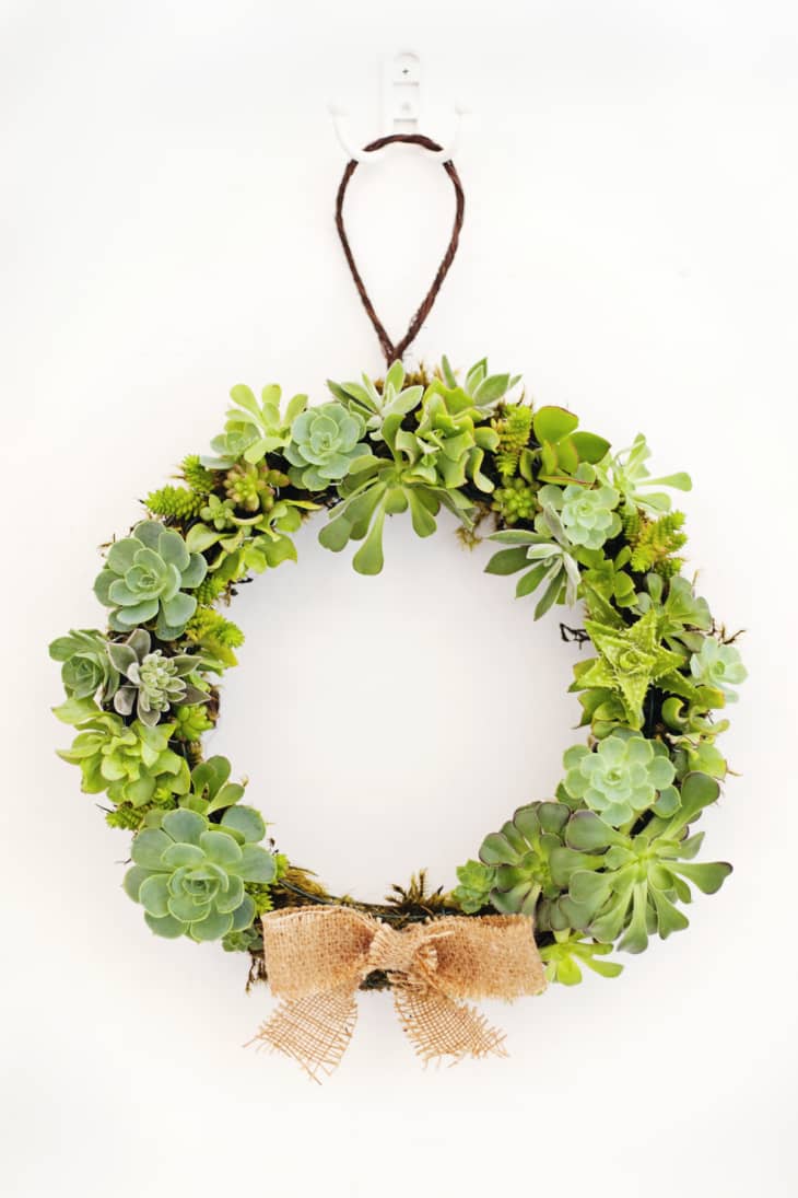 How To Make a Succulent Wreath | Apartment Therapy