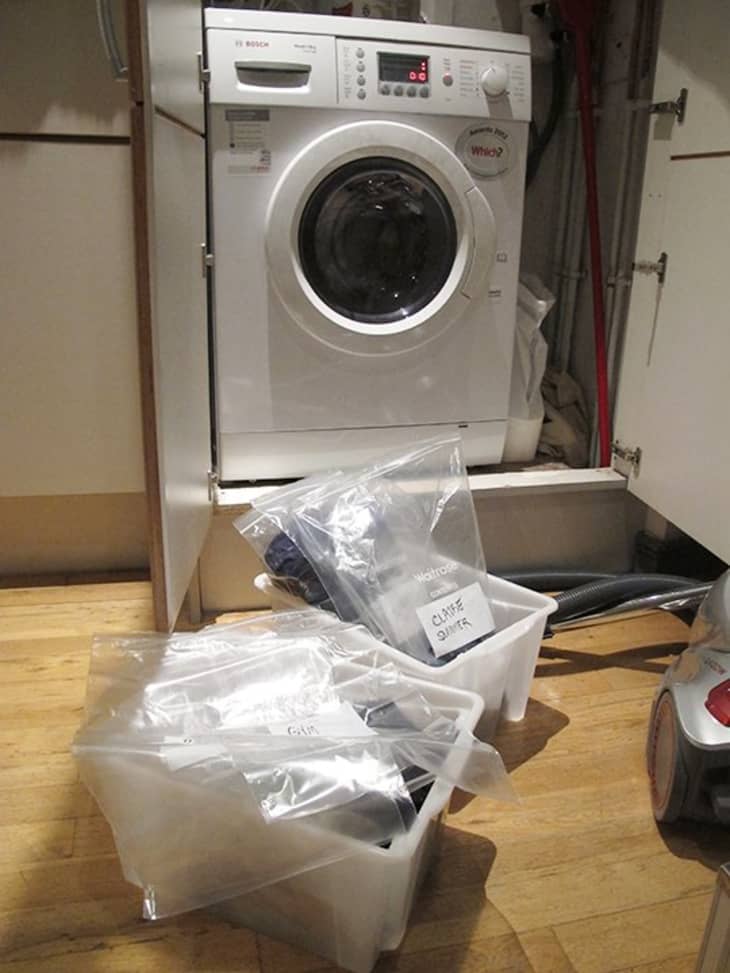  How To Get Rid of Bedbugs Apartment Therapy