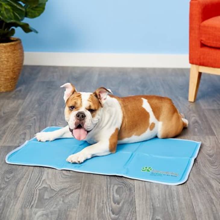 The Green Pet Shop Cool Pet Pad at Chewy
