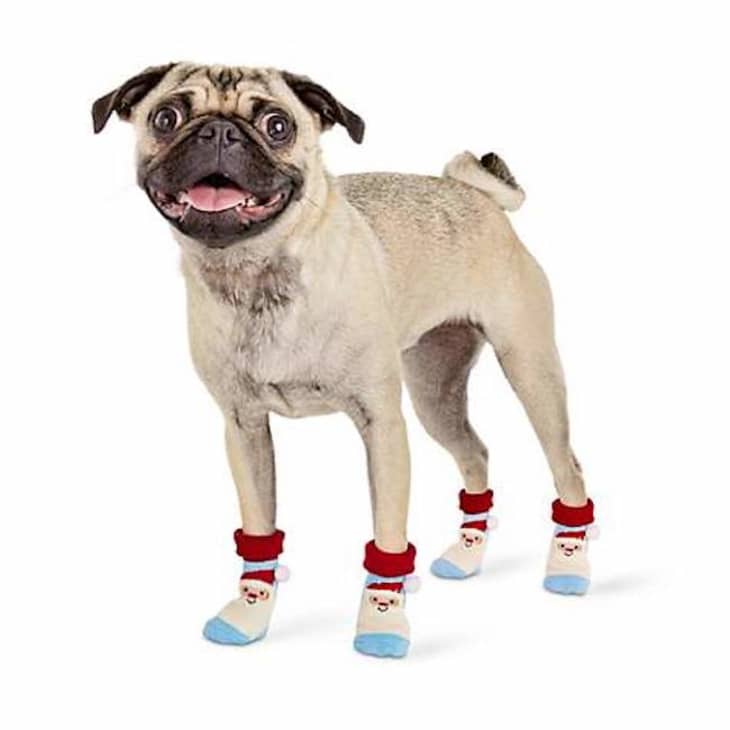 You Can Buy Your Dog A Pair Of Socks To Wear On Christmas Morning Apartment  Therapy