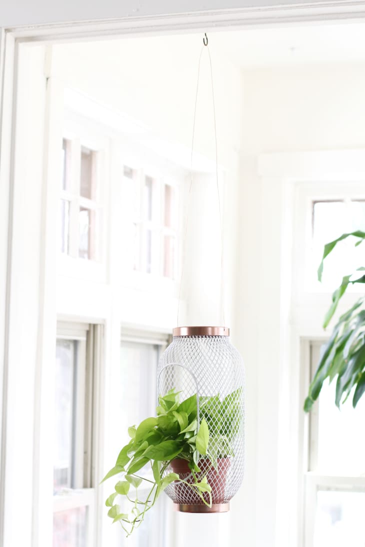 Lantern to Planter: A Super Easy IKEA TOPPIG Hack | Apartment Therapy