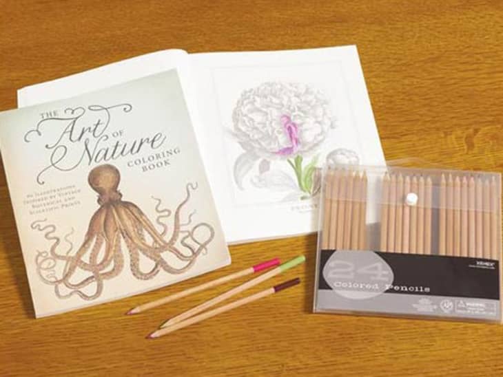 Download Adult Coloring Books: 12 Beautiful Ones to Try | Apartment ...