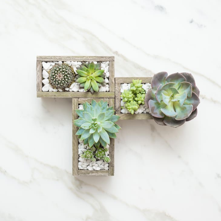 The Good Life, Delivered Our Favorite Home & Garden Subscription Boxes