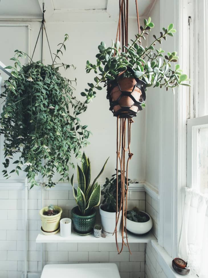 fall outdoor hanging plants 18 in. Fall Hanging Basket with Maple Leaves, Sunflowers, Cones, Berries,  Pumpkin