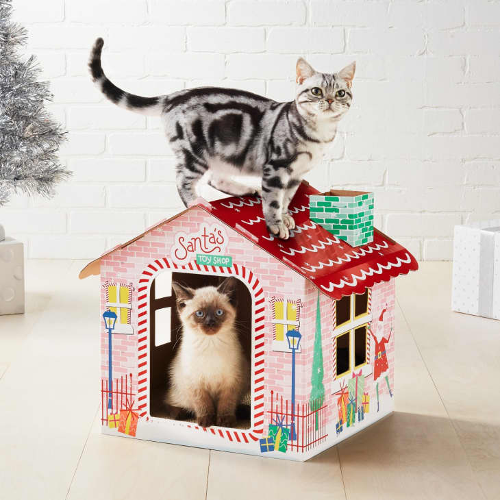 cardboard cat house target