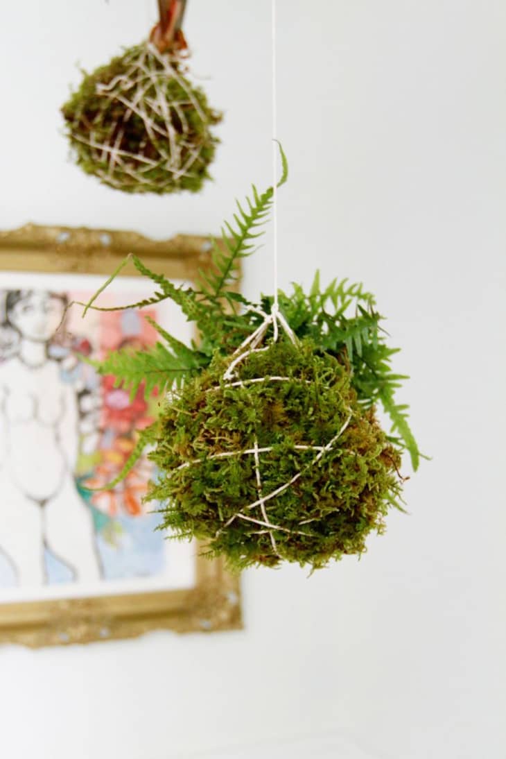 How To Make A Kokedama Hanging Plant | Apartment Therapy