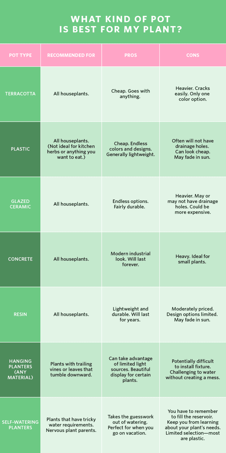 A flowchart to help you decide what kind of pot is best for your plant