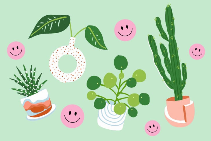 Smiling faces and plants